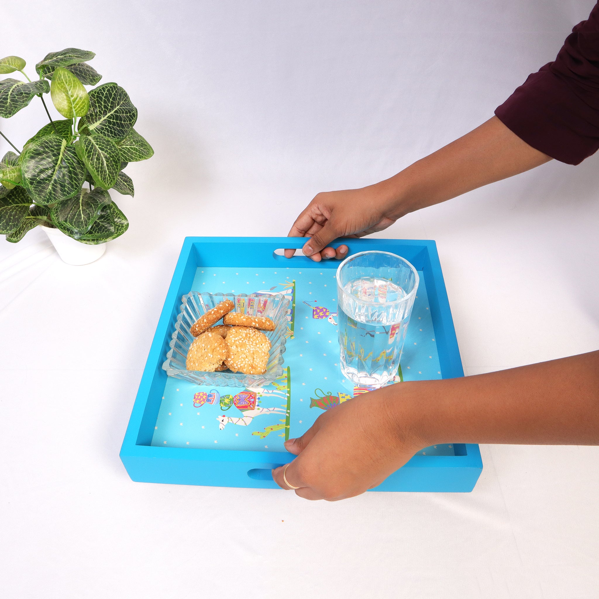 Animal Party Blue Tray